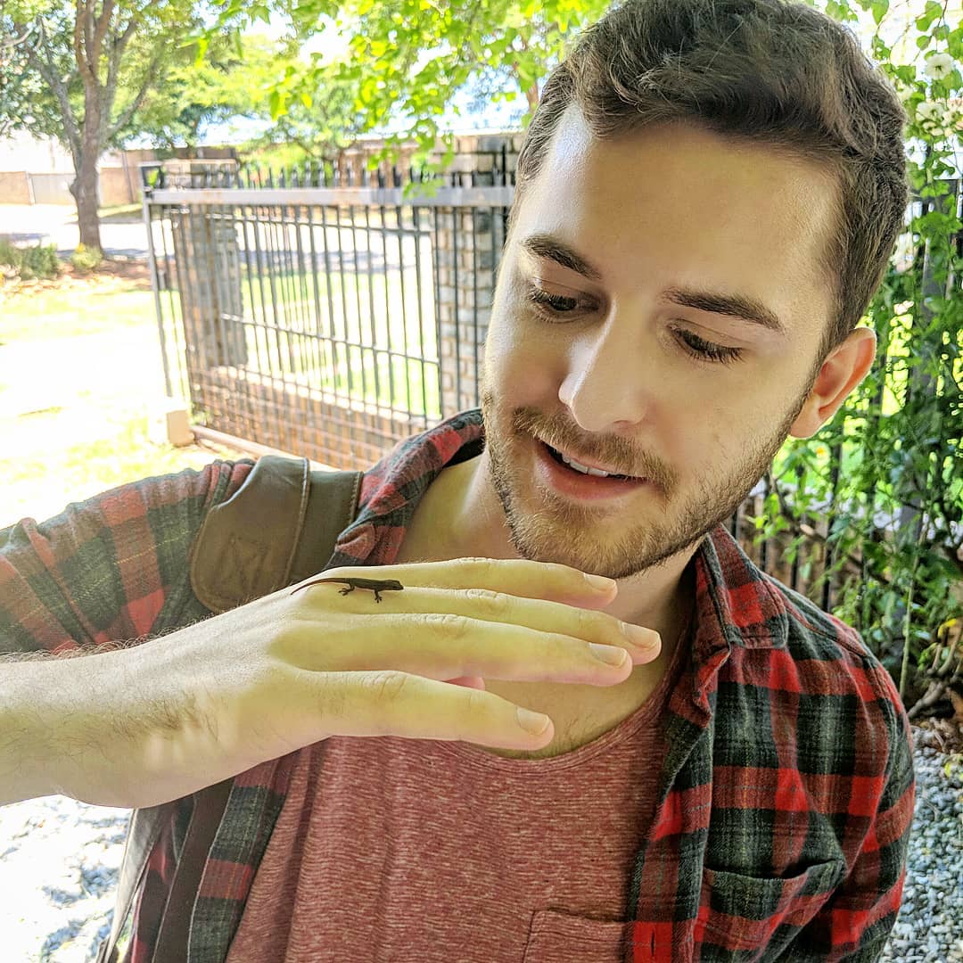 A lizard on my hand